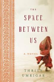 The Space Between Us : Thrifty Umrigar